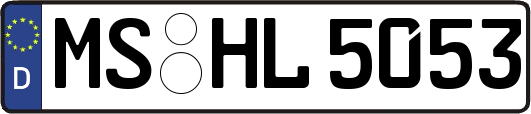 MS-HL5053