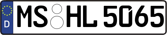 MS-HL5065