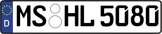 MS-HL5080