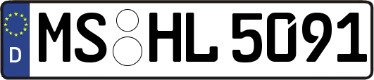 MS-HL5091
