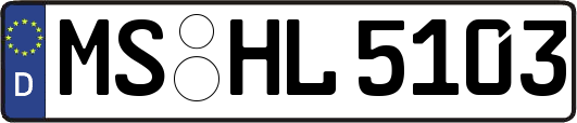 MS-HL5103