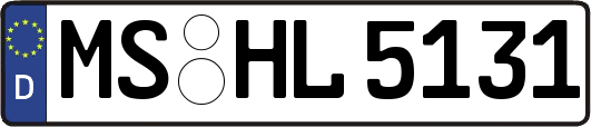 MS-HL5131