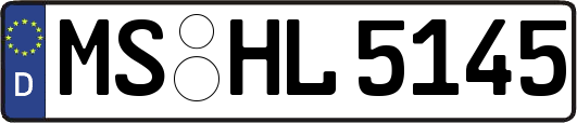 MS-HL5145