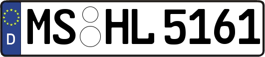MS-HL5161