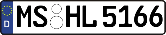 MS-HL5166