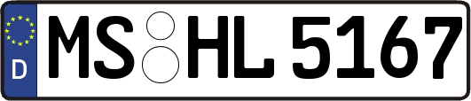 MS-HL5167