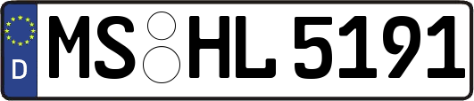 MS-HL5191