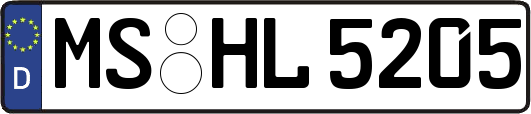 MS-HL5205
