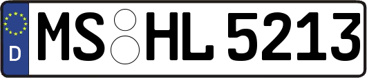 MS-HL5213