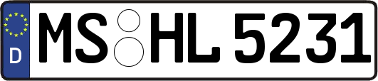 MS-HL5231