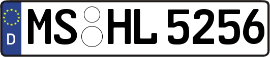 MS-HL5256