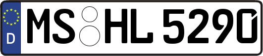 MS-HL5290