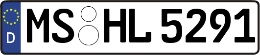 MS-HL5291