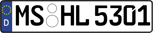 MS-HL5301