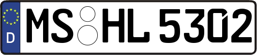MS-HL5302