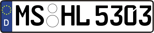 MS-HL5303