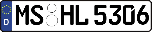 MS-HL5306