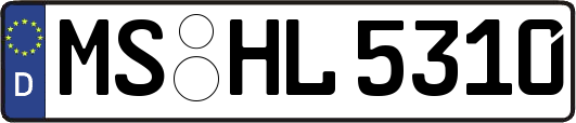 MS-HL5310