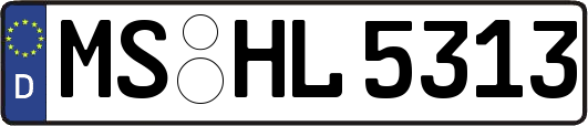 MS-HL5313