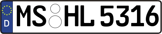 MS-HL5316