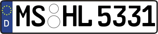 MS-HL5331