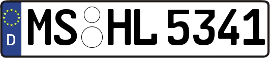 MS-HL5341