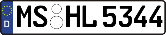 MS-HL5344