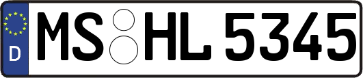 MS-HL5345