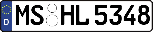 MS-HL5348