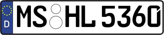 MS-HL5360