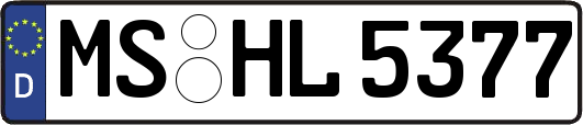 MS-HL5377