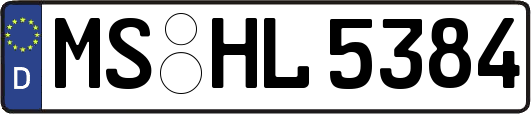 MS-HL5384