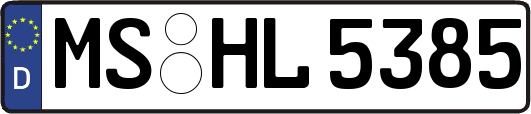 MS-HL5385