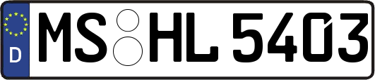 MS-HL5403