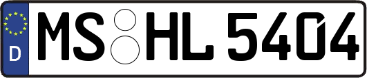 MS-HL5404