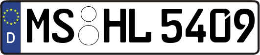 MS-HL5409