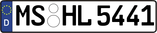 MS-HL5441