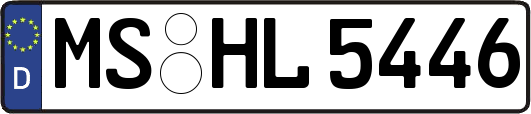 MS-HL5446
