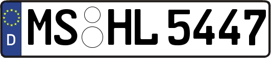 MS-HL5447