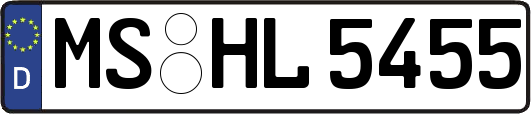 MS-HL5455