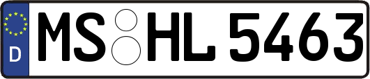 MS-HL5463
