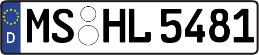 MS-HL5481