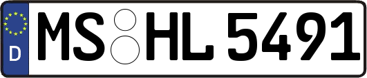 MS-HL5491