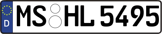 MS-HL5495