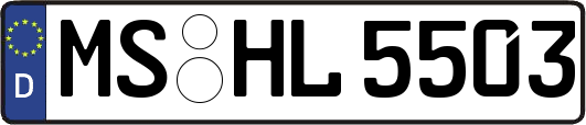 MS-HL5503