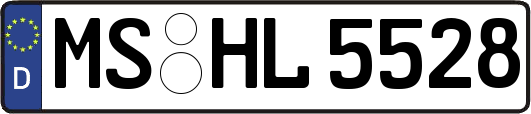 MS-HL5528