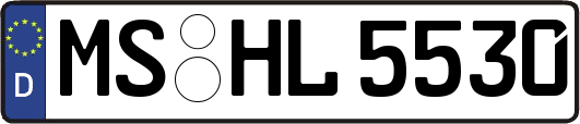 MS-HL5530
