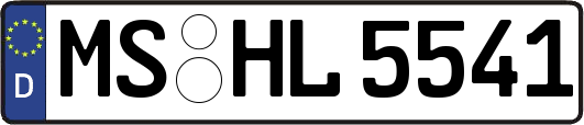 MS-HL5541
