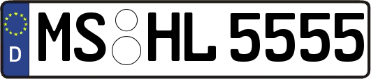 MS-HL5555