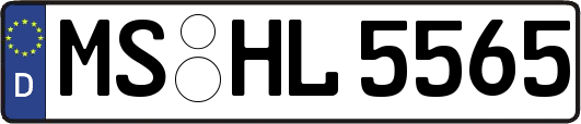 MS-HL5565